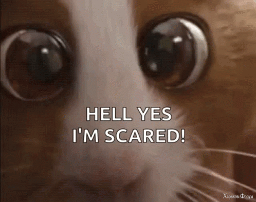 mouse-cute.gif