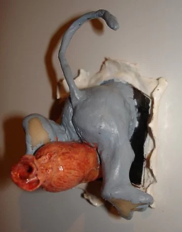 mouse-x.webp