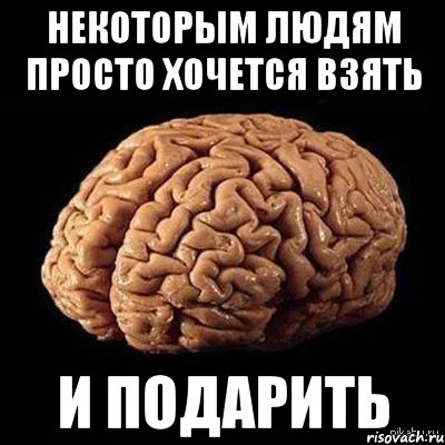 mozg_56012845_orig_.webp