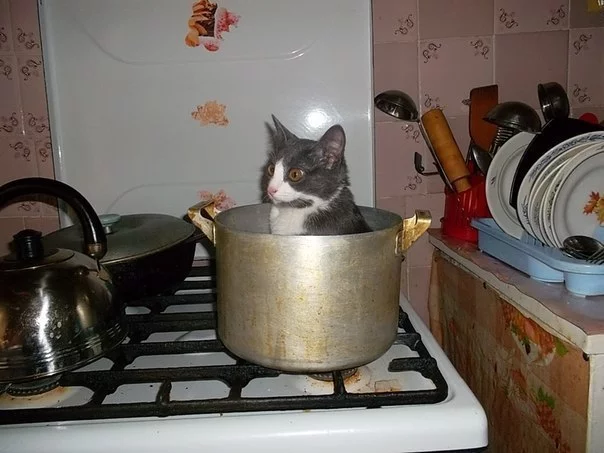 mRjydKM4dzc.webp