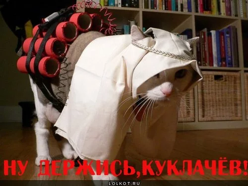 mstya_1346015204.webp