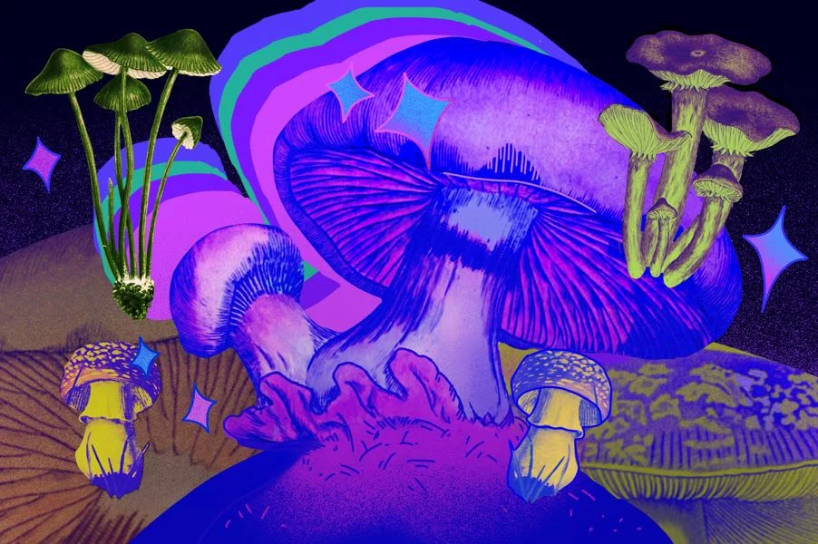 mushroom-revolution1-4.webp