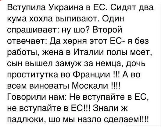 mut_or31ZnM.webp