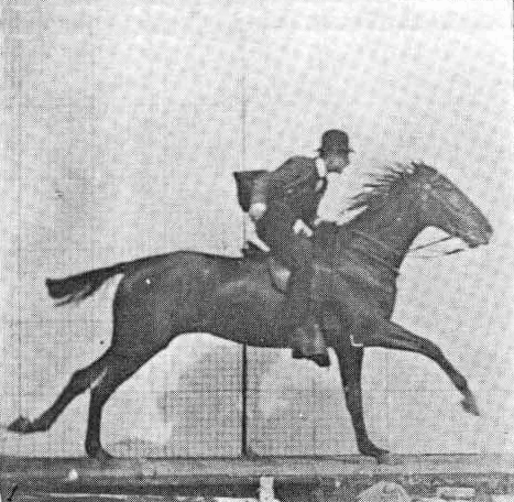 muybridge-galloping-horse.gif