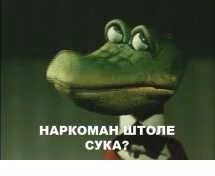 Mvj-qTjIUsD7L2t4OiHB6RFtM_vYz6DwSni1DkGEBzlFkrm63g.webp