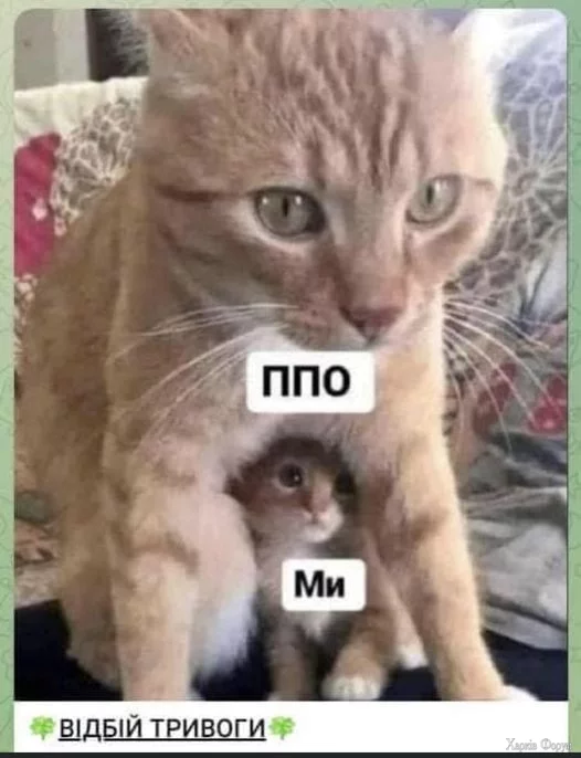 ППО  мы.jpg
