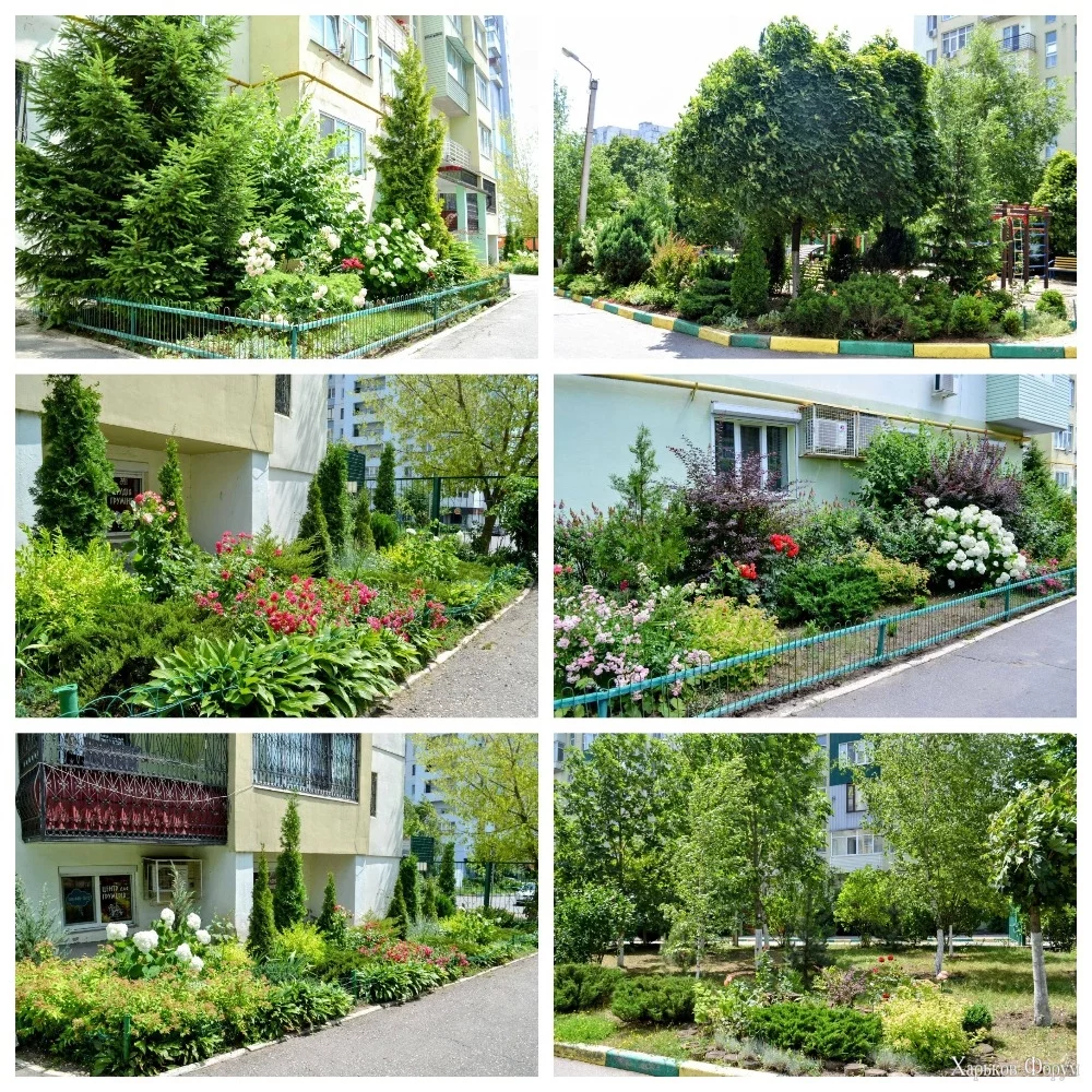 MyCollages-11.jpg