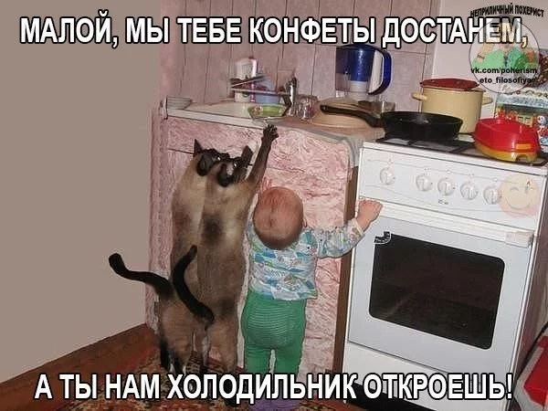n132MFjcMag.webp