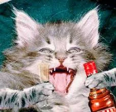 N17IuWxZCJvTwLII_-geL0NumomIU8_yBTQJX9L_6RNQGNmt6A.webp