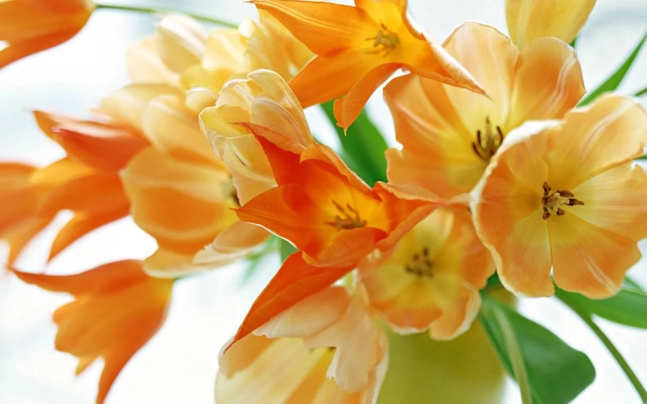 N2x3R85F.webp