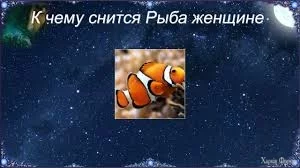 К чему снится рыба по соннику: толкование снов про рыба