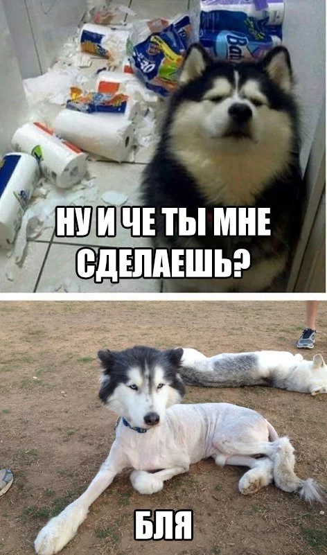 N_sOQPY6QUM.webp