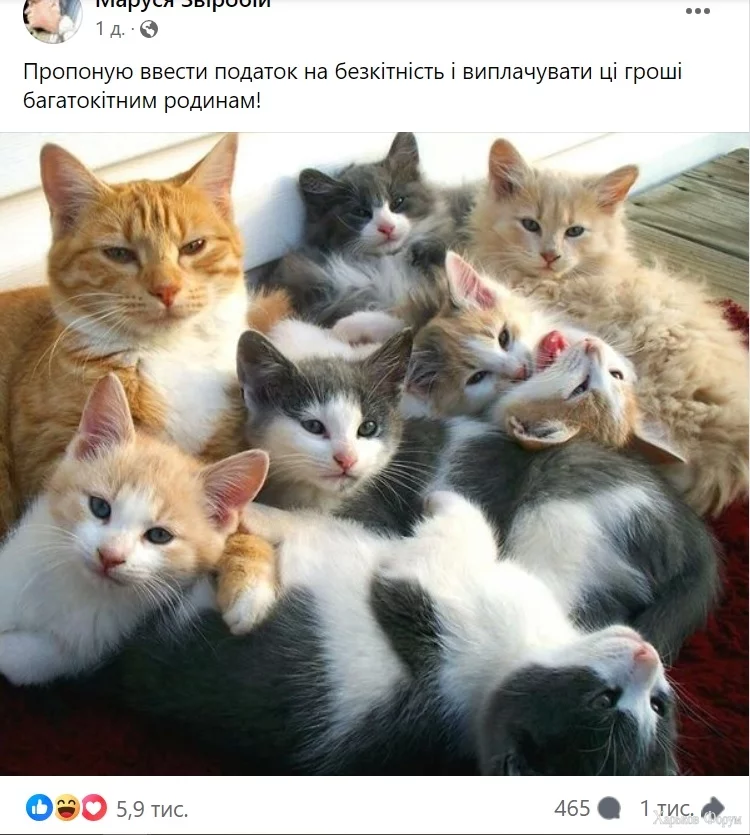  на безкітність.webp