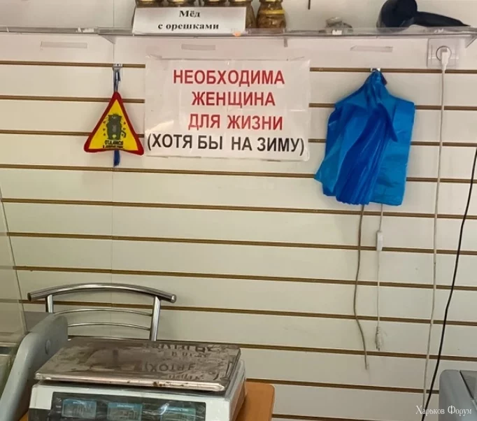  на зиму.webp
