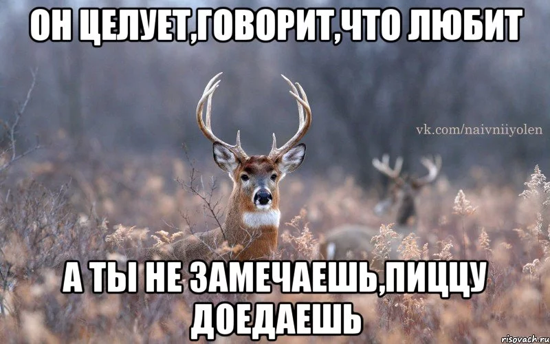 naivnyy-olen_42779655_big_.webp
