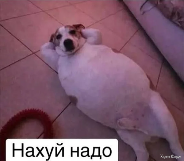 Нахуйнадо.webp