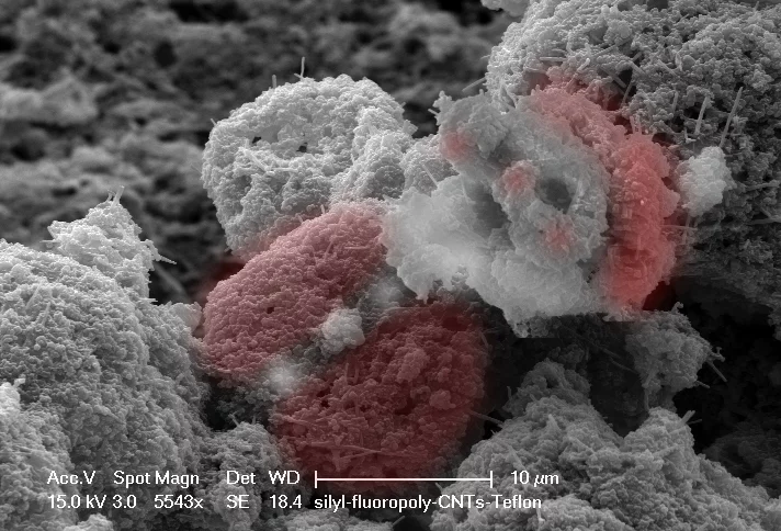 nanoart-8-big.webp