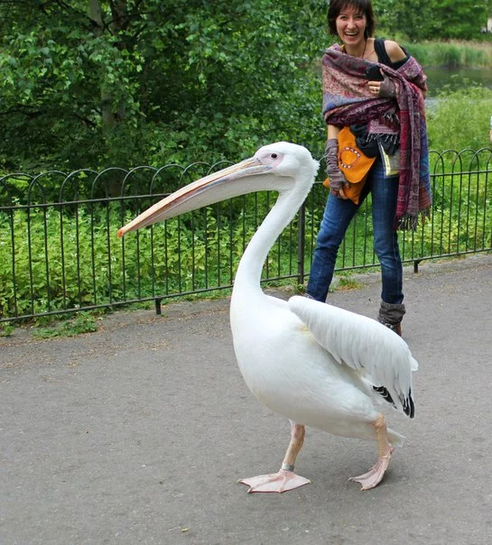 nARbPAuQJRo.webp