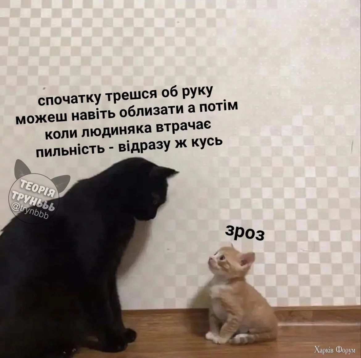  наставник.webp
