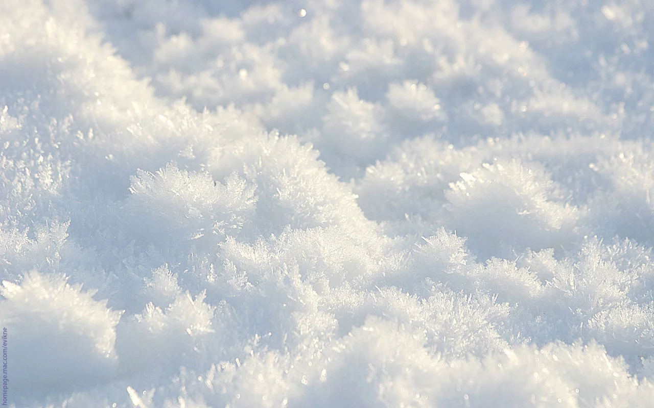 Nature_Seasons_Winter_Only_winter_snow_006435_.webp