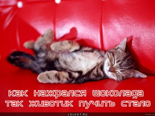 nazhralsya-shokolada_1345926736.webp