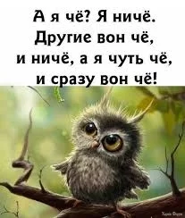  названия (1).webp