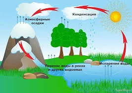  названия (1).webp