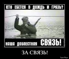  названия (15).webp