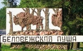  названия (2).webp