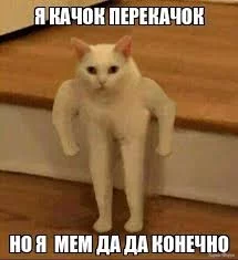  названия (3).webp