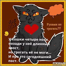  названия (5).webp