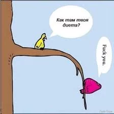  названия (6).webp