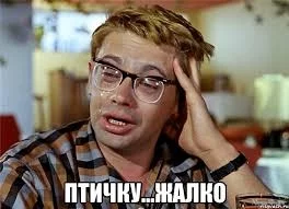  названия (7).webp
