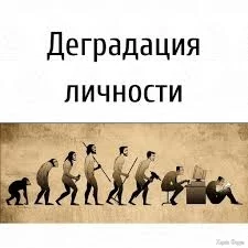  названия (8).webp