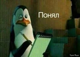  названия (8).webp