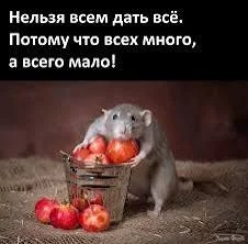  названия.webp