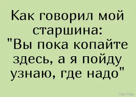  названия.webp