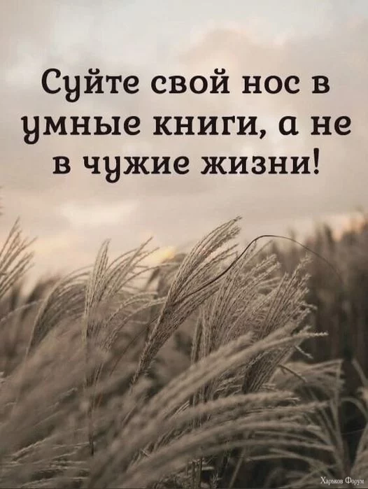 nc_ohc=-3bJ0OJfIRgAX8hOd5a&_nc_ht=scontent.fdnk1-4.webp