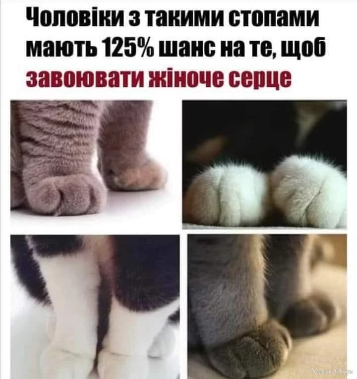 nc_ohc=3XflHVYkp30AX_PDZmi&_nc_ht=scontent.fdnk1-4.webp