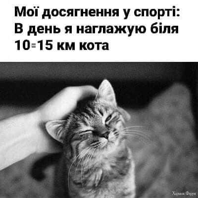nc_ohc=4TXihCC5QnkAX80fWf5&_nc_ht=scontent.fiev7-4.jpg