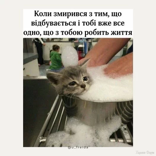 nc_ohc=9BKHQurpN38AX8Zh_gv&_nc_ht=scontent.fiev7-4.webp