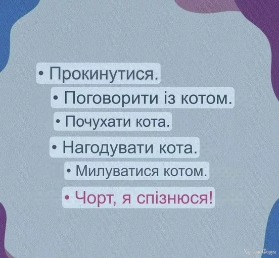 nc_ohc=9xm5TUWa41sAb4GQcFP&_nc_ht=scontent.fdnk1-3.webp