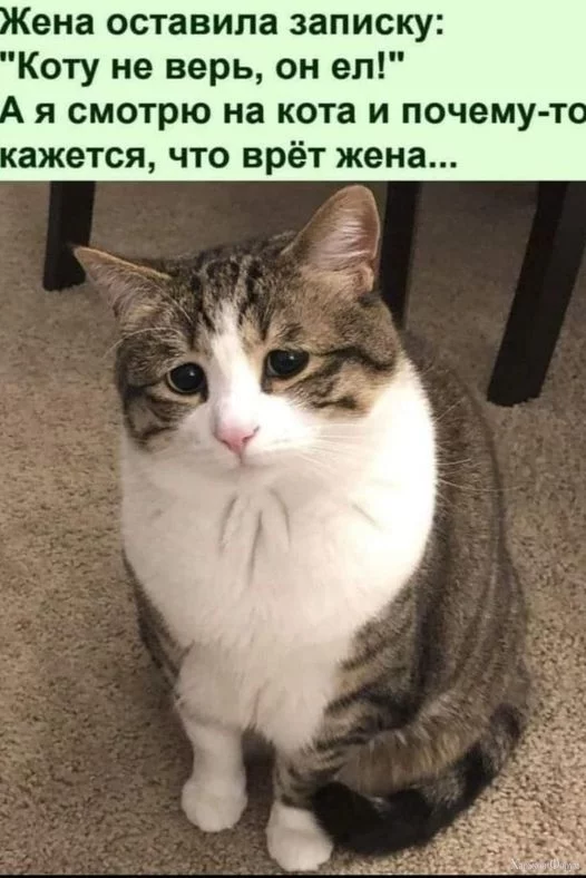 nc_ohc=-AEGdCnbGMcAX9hFjEf&_nc_ht=scontent.fdnk1-4.webp