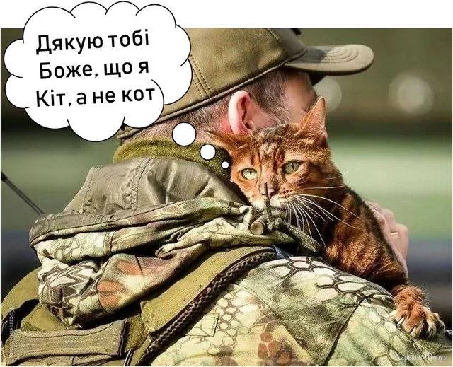 nc_ohc=BtL5rinqEHIAX_cflJE&_nc_ht=scontent.fiev7-3.webp