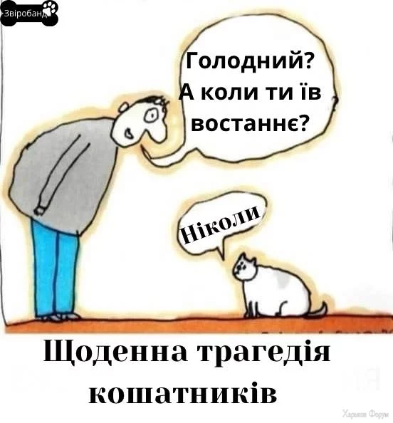 nc_ohc=fqHVktGv7ZIAX85vpvR&_nc_ht=scontent.fdnk3-1.webp