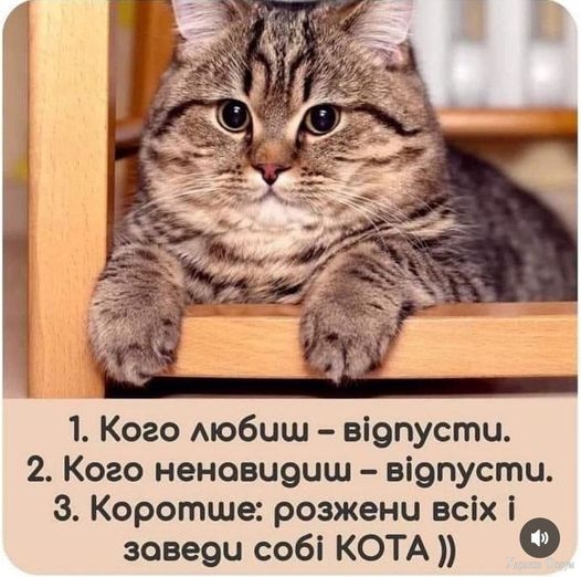 nc_ohc=GFjsV17la1QAX-EbBqZ&_nc_ht=scontent.fiev7-4.jpg