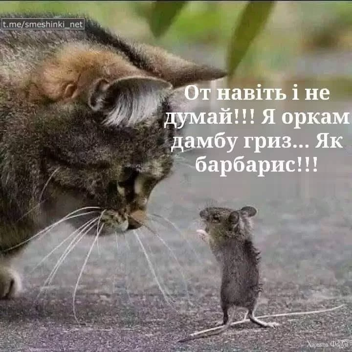 nc_ohc=gUmWjBlwNmoAb6b4Sw5&_nc_ht=scontent.fdnk1-3.webp