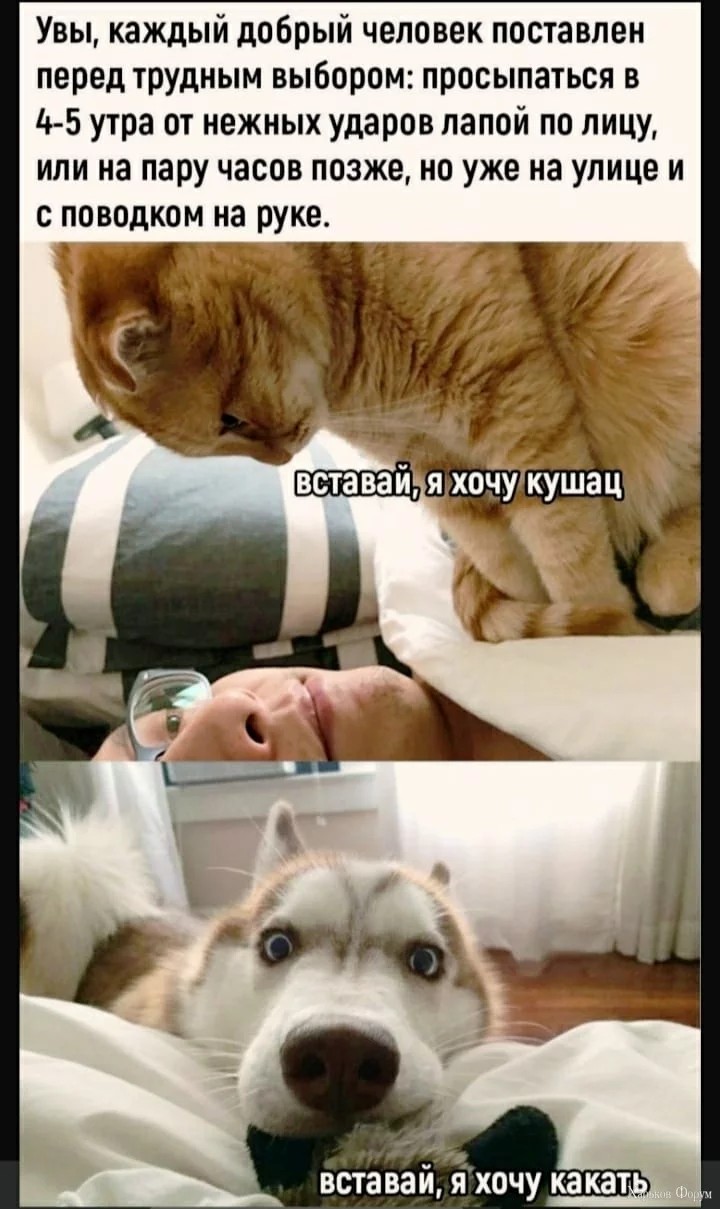 nc_ohc=-I1TzXQtA2gAX8sNuBQ&_nc_ht=scontent.fiev7-4.jpg