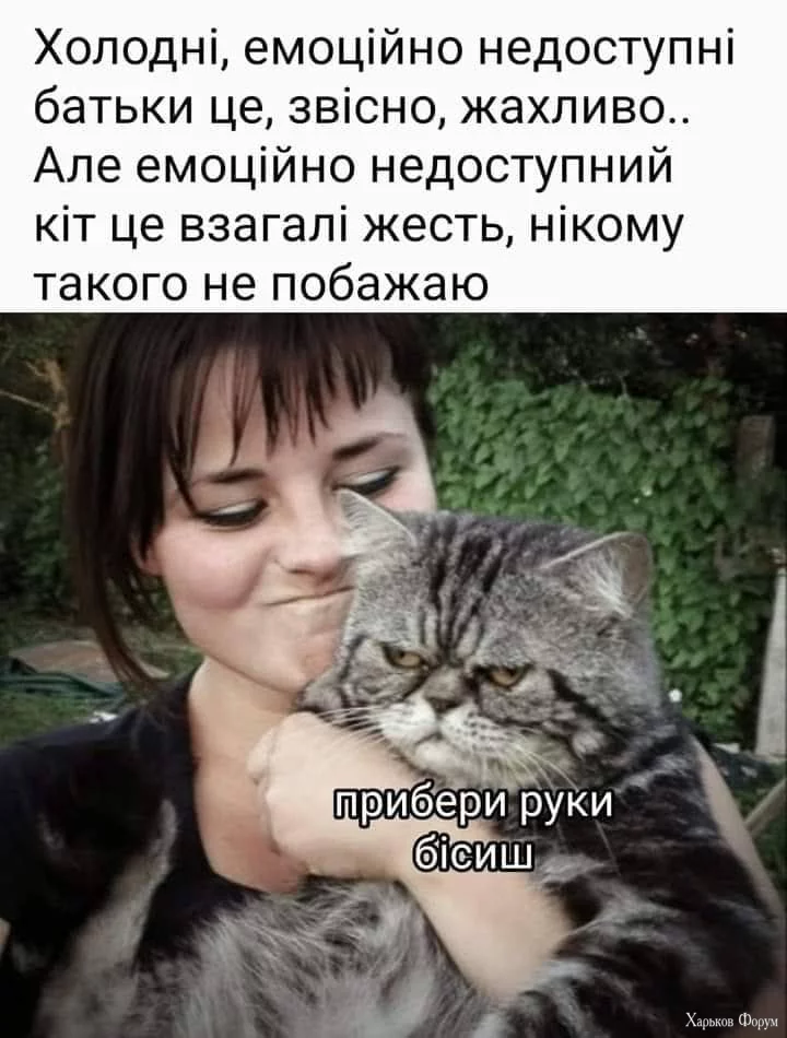 nc_ohc=iUd_fOAygaMAb5CbE-h&_nc_ht=scontent.fdnk1-3.jpg