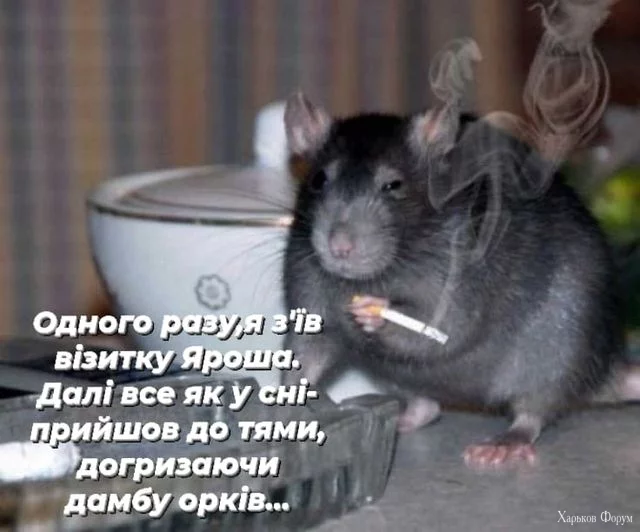 nc_ohc=kgONwBuxx4gAb4OmRmt&_nc_ht=scontent.fdnk1-4.jpg